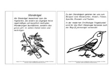 Mini-Buch-Standvögel-Lesetext-SW.pdf